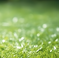 年伊利内蒙, 服从管理