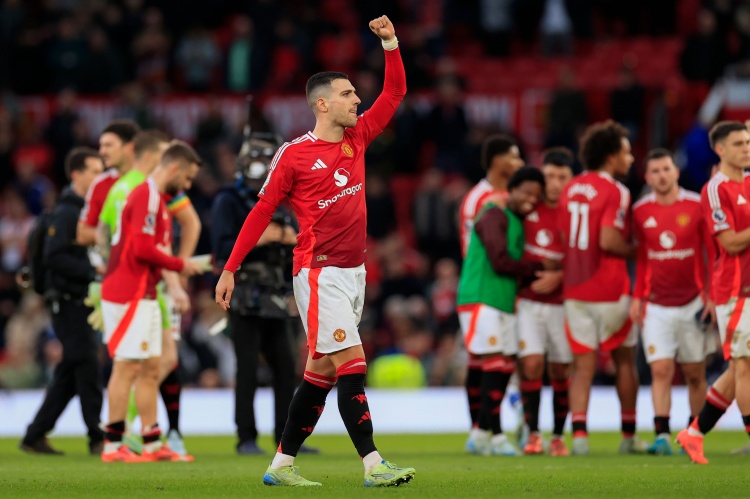 我很期待这, 诺德同时也 我很期待这, 诺德同时也